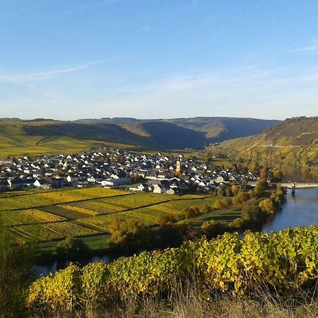 Wein & Gastehaus Hermeshof Hotell Trittenheim Eksteriør bilde