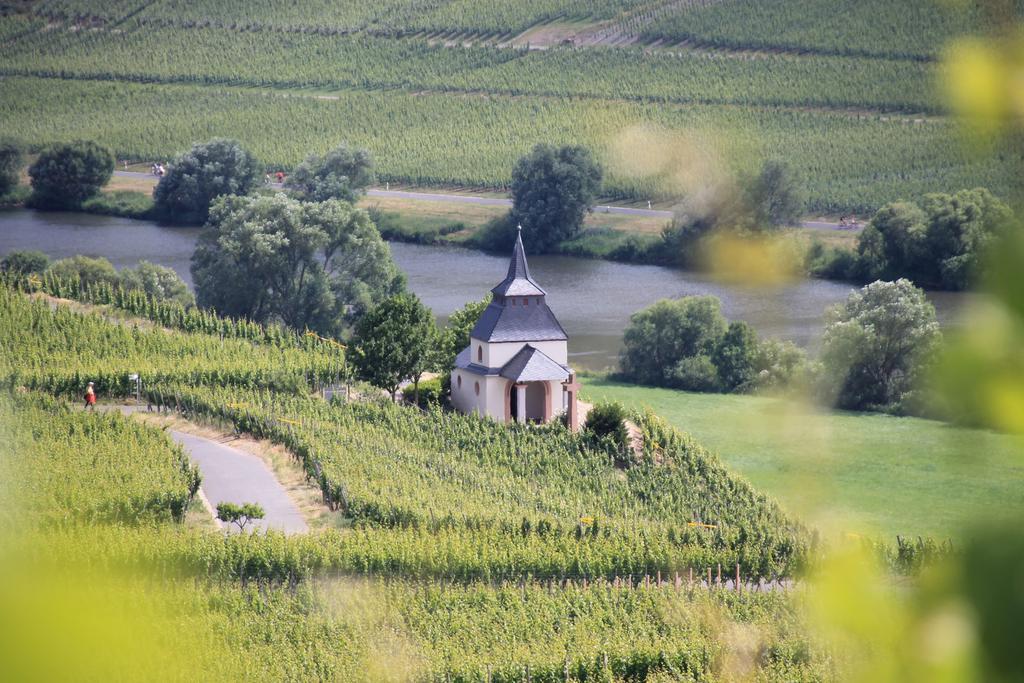 Wein & Gastehaus Hermeshof Hotell Trittenheim Eksteriør bilde