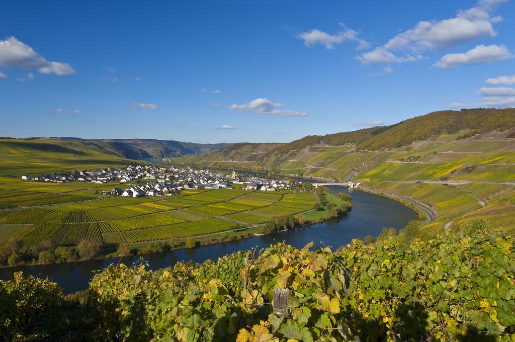 Wein & Gastehaus Hermeshof Hotell Trittenheim Eksteriør bilde