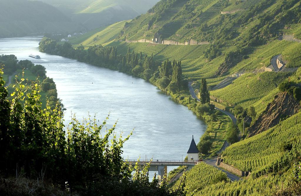 Wein & Gastehaus Hermeshof Hotell Trittenheim Eksteriør bilde