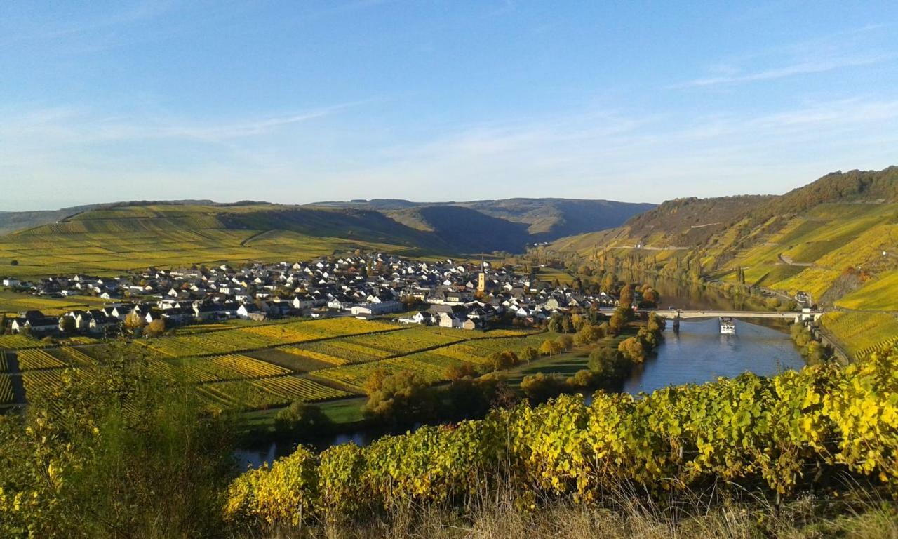 Wein & Gastehaus Hermeshof Hotell Trittenheim Eksteriør bilde