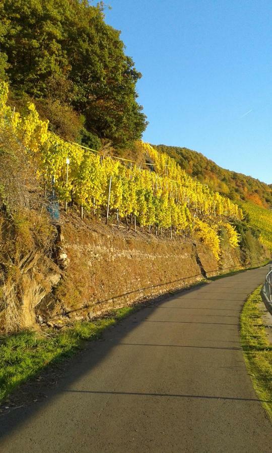 Wein & Gastehaus Hermeshof Hotell Trittenheim Eksteriør bilde