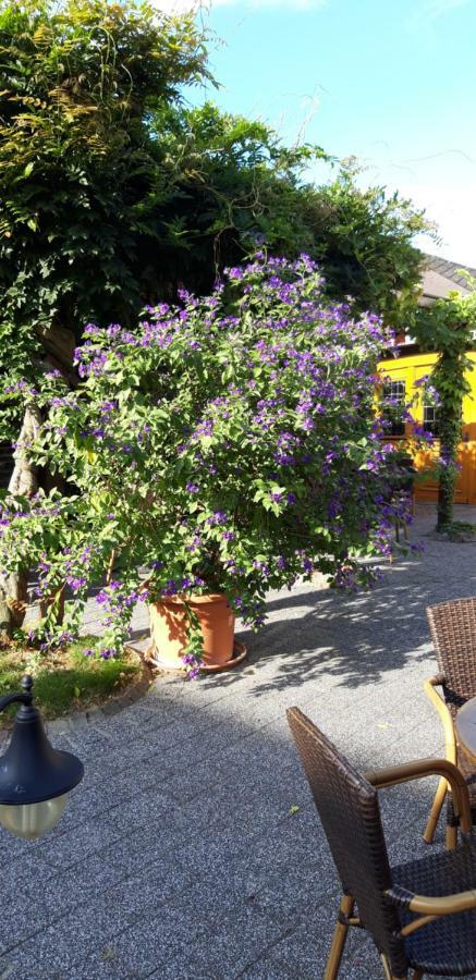 Wein & Gastehaus Hermeshof Hotell Trittenheim Eksteriør bilde